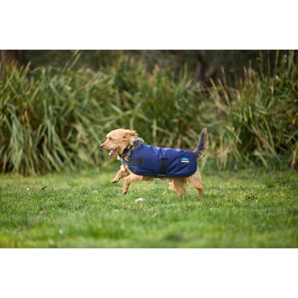 WeatherBeeta Coperta per Cani ComFiTec Classic Waterproof Navy