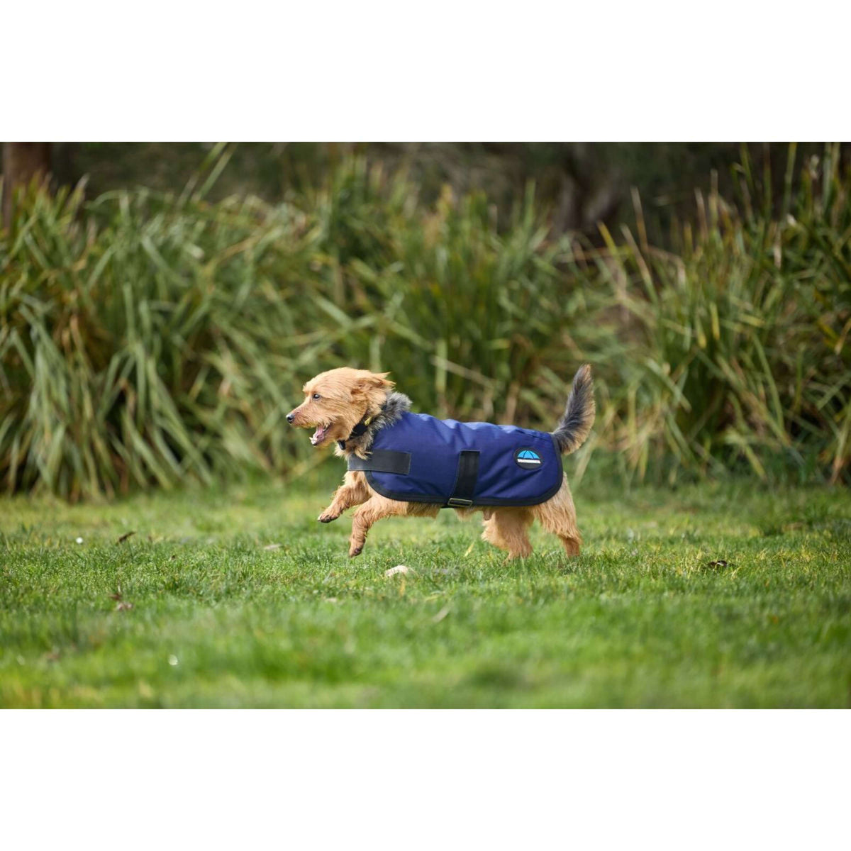 Weatherbeeta Coperta per Cani Comfitec Classic Waterproof Navy