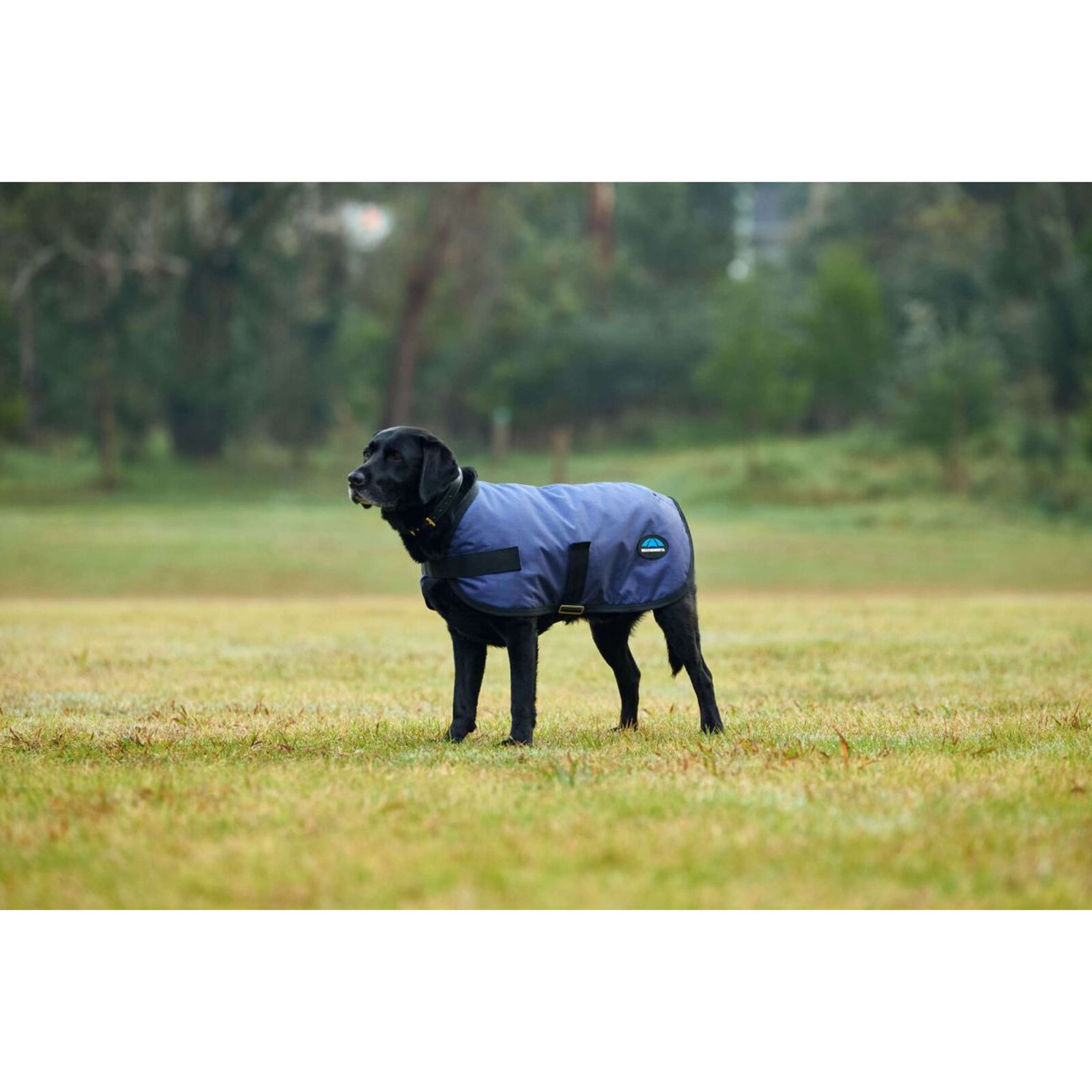 WeatherBeeta Coperta per Cani ComFiTec Classic Waterproof Navy