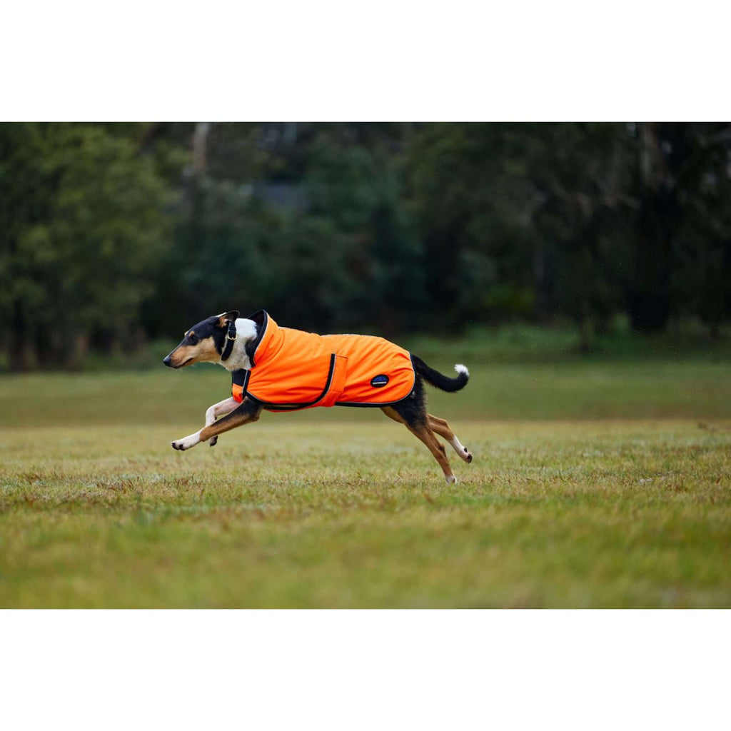 WeatherBeeta Coperta per Cani ComFiTec Reflective 300D Deluxe Showerproof Arancia