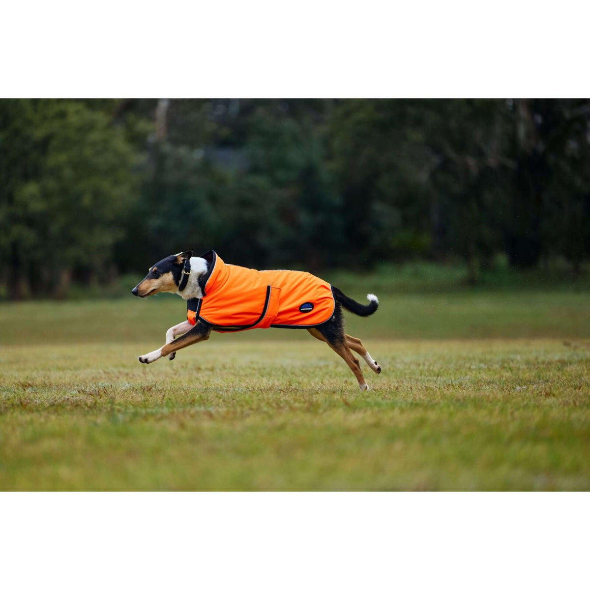 Weatherbeeta Coperta per Cani Comfitec Reflective 300D Deluxe Showerproof Arancia