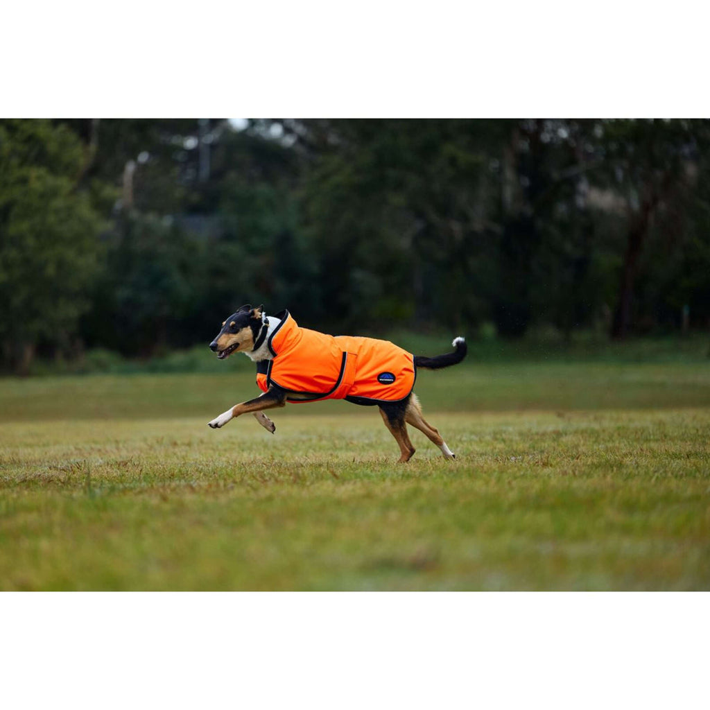 WeatherBeeta Coperta per Cani ComFiTec Reflective 300D Deluxe Showerproof Arancia
