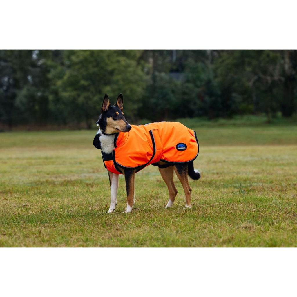 WeatherBeeta Coperta per Cani ComFiTec Reflective 300D Deluxe Showerproof Arancia