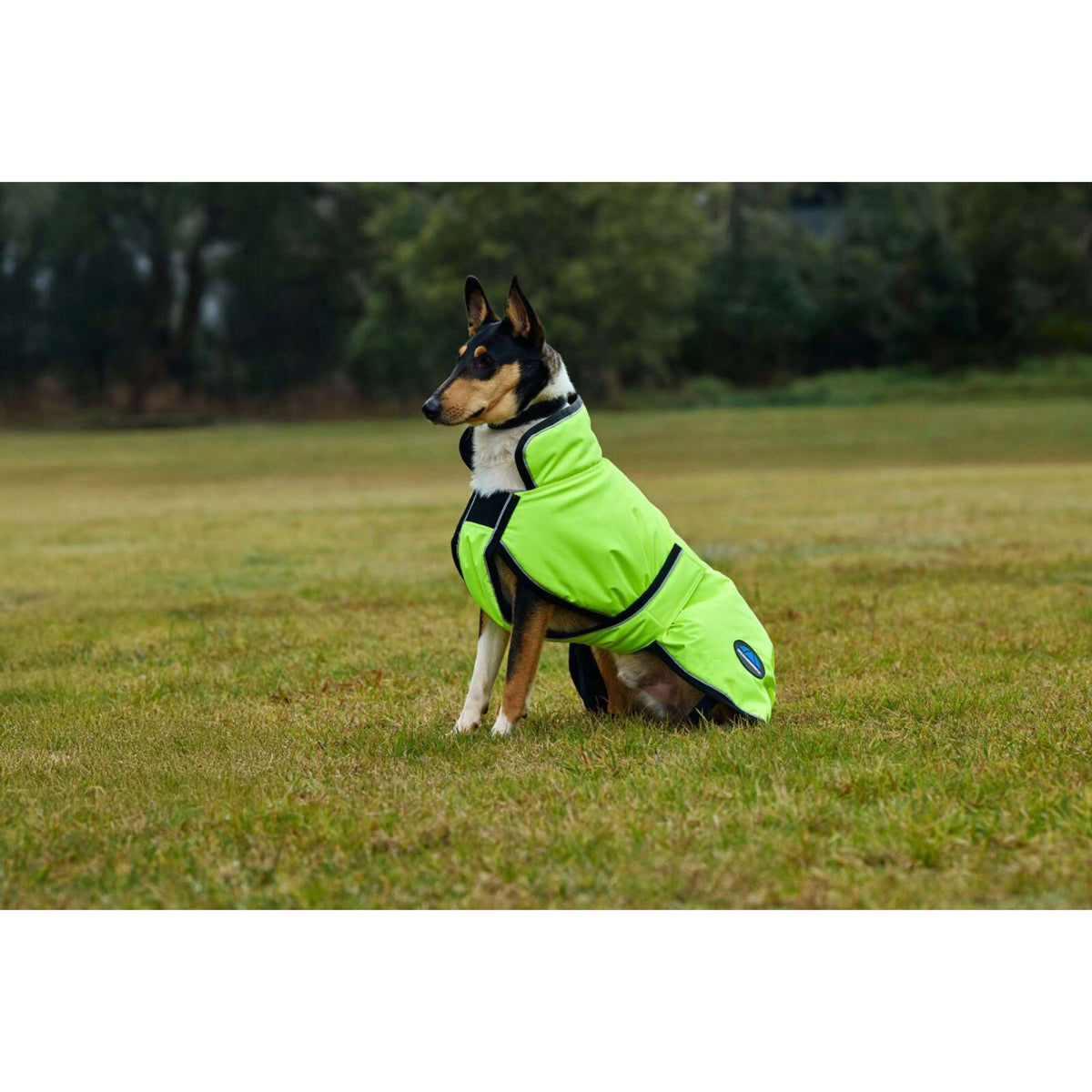 Weatherbeeta Coperta per Cani Comfitec Reflective 300D Deluxe Showerproof Giallo