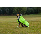 Weatherbeeta Coperta per Cani Comfitec Reflective 300D Deluxe Showerproof Giallo