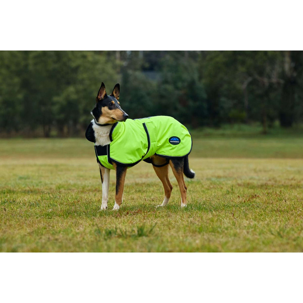 WeatherBeeta Coperta per Cani ComFiTec Reflective 300D Deluxe Showerproof Giallo