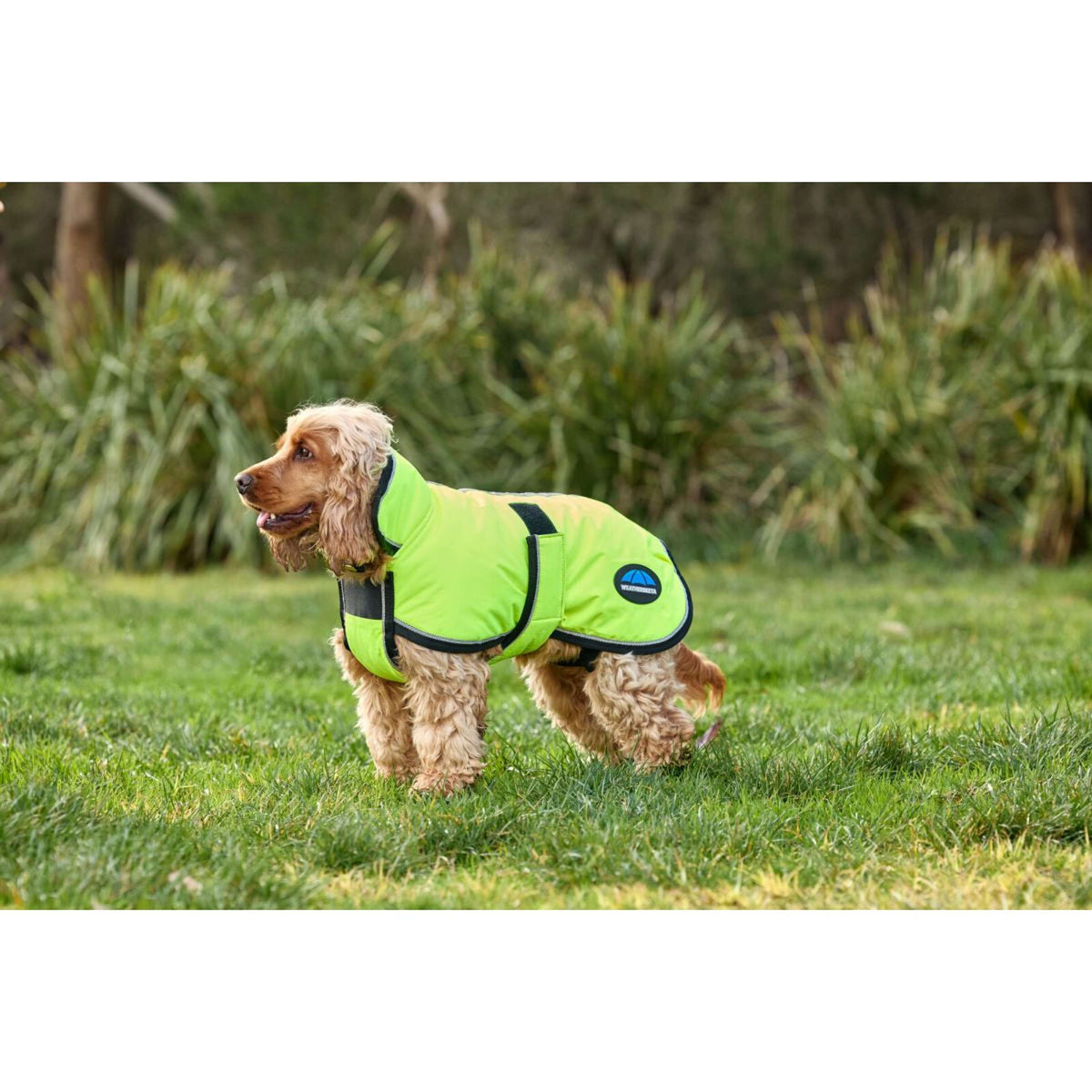 Weatherbeeta Coperta per Cani Comfitec Reflective 300D Deluxe Showerproof Giallo