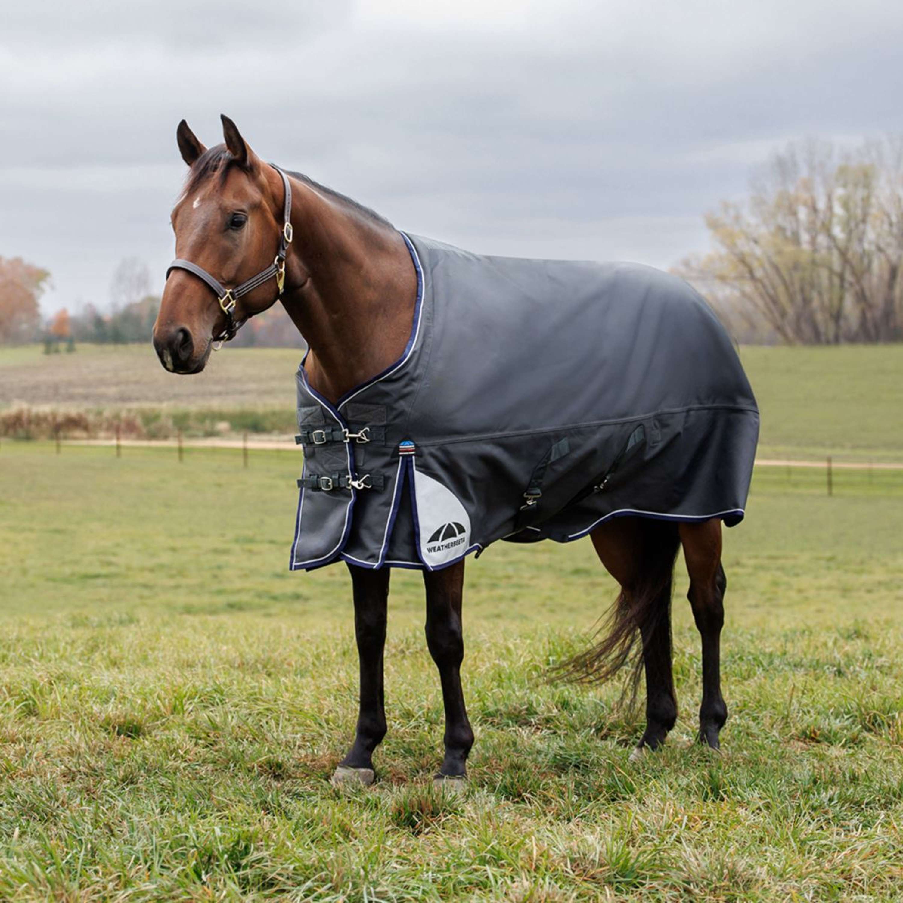 WeatherBeeta ComFiTec Ultra Turnout Standard Neck 220g Carbone