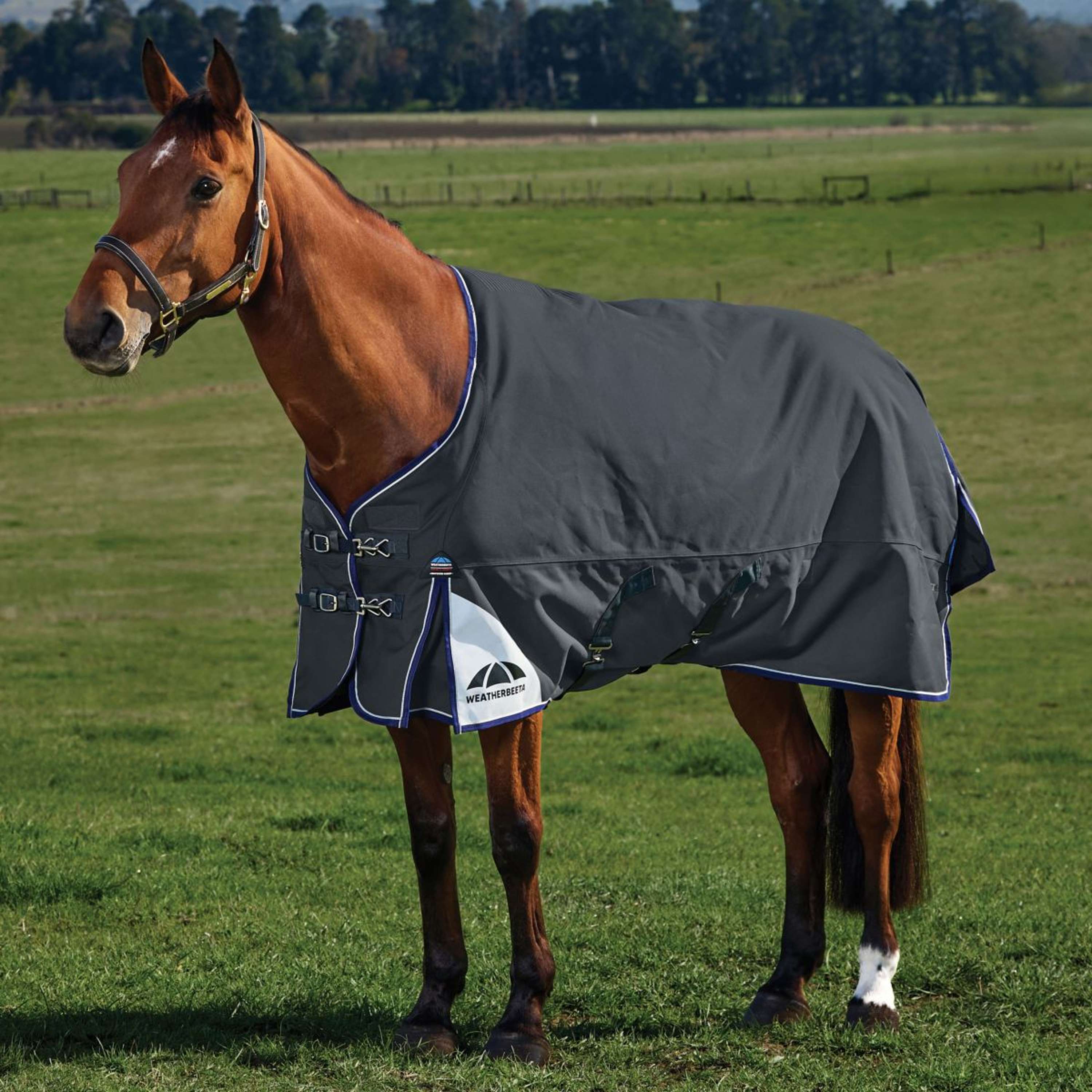 WeatherBeeta ComFiTec Ultra Turnout Standard Neck 220g Carbone