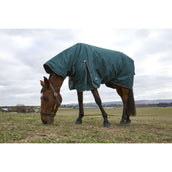 Weatherbeeta Comfitec Classic Turnout Combo 50 g Forest Green/Black