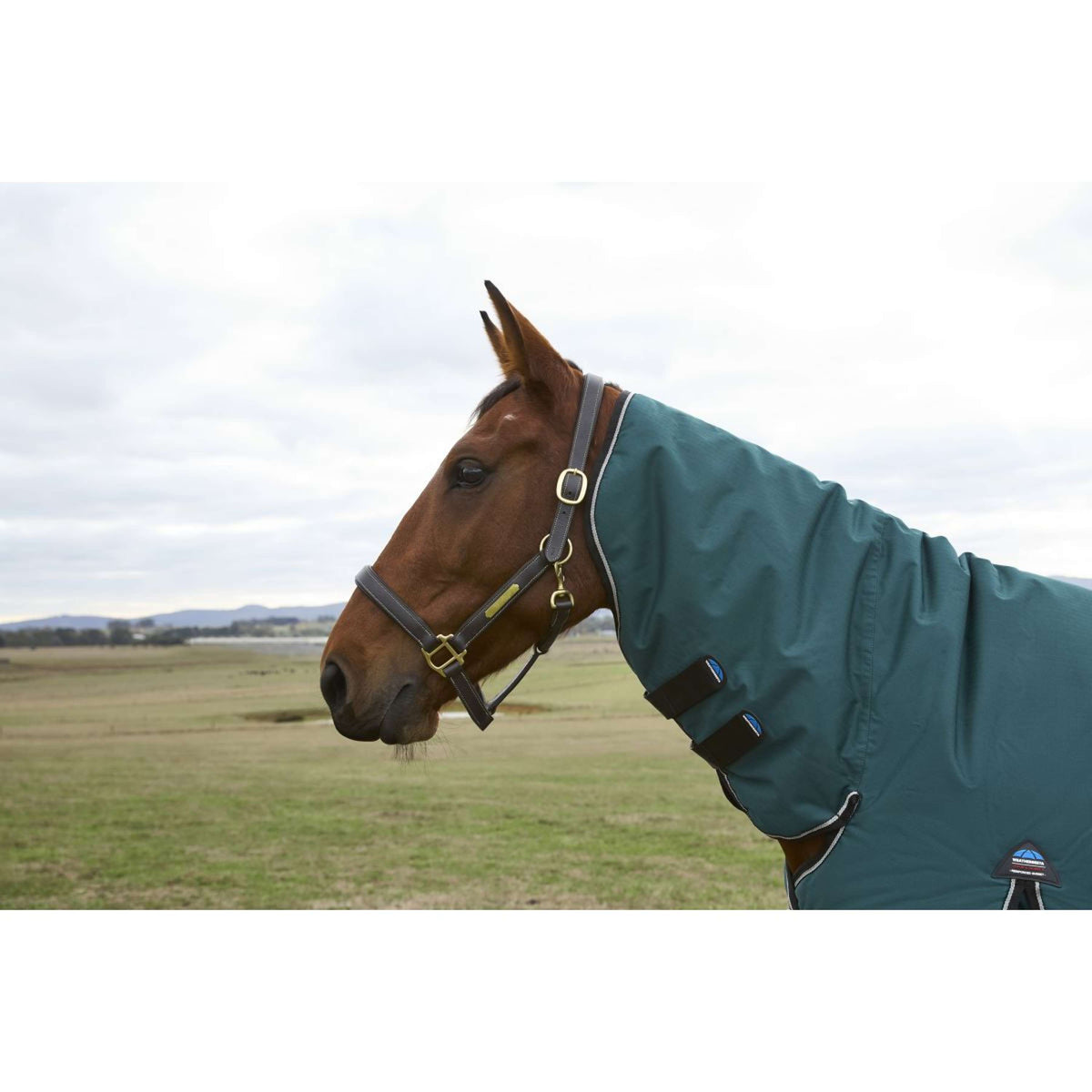 Weatherbeeta Comfitec Classic Turnout Combo 50 g Forest Green/Black