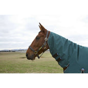 Weatherbeeta Comfitec Classic Turnout Combo 50 g Forest Green/Black