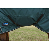 Weatherbeeta Comfitec Classic Turnout Combo 50 g Forest Green/Black