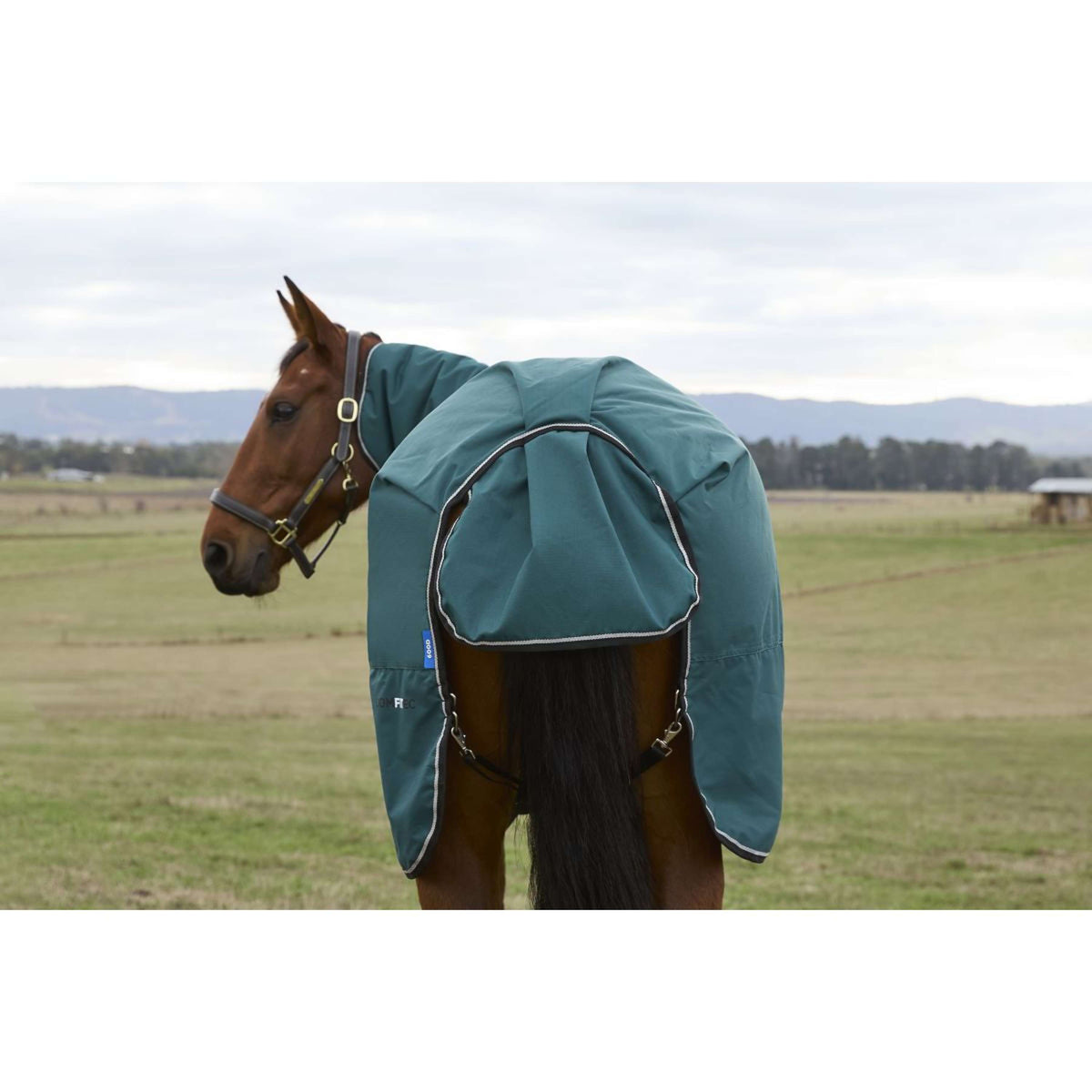 Weatherbeeta Comfitec Classic Turnout Combo 50 g Forest Green/Black