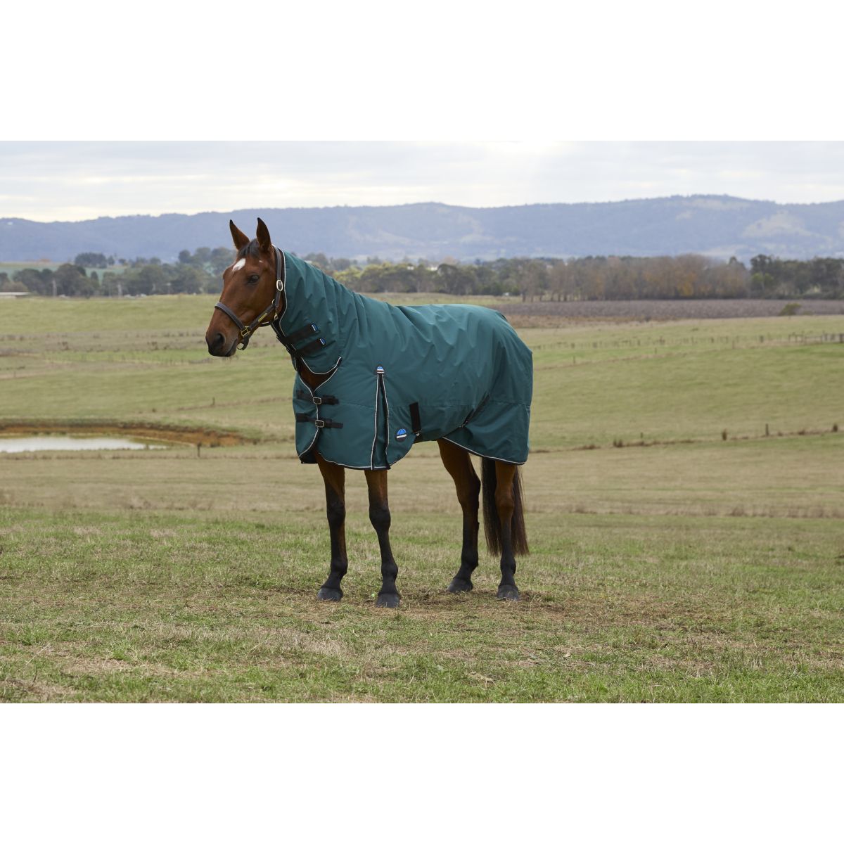 Weatherbeeta Comfitec Classic Turnout Combo 50 g Forest Green/Black