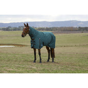 Weatherbeeta Comfitec Classic Turnout Combo 50 g Forest Green/Black