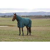 Weatherbeeta Comfitec Classic Turnout Combo 50 g Forest Green/Black