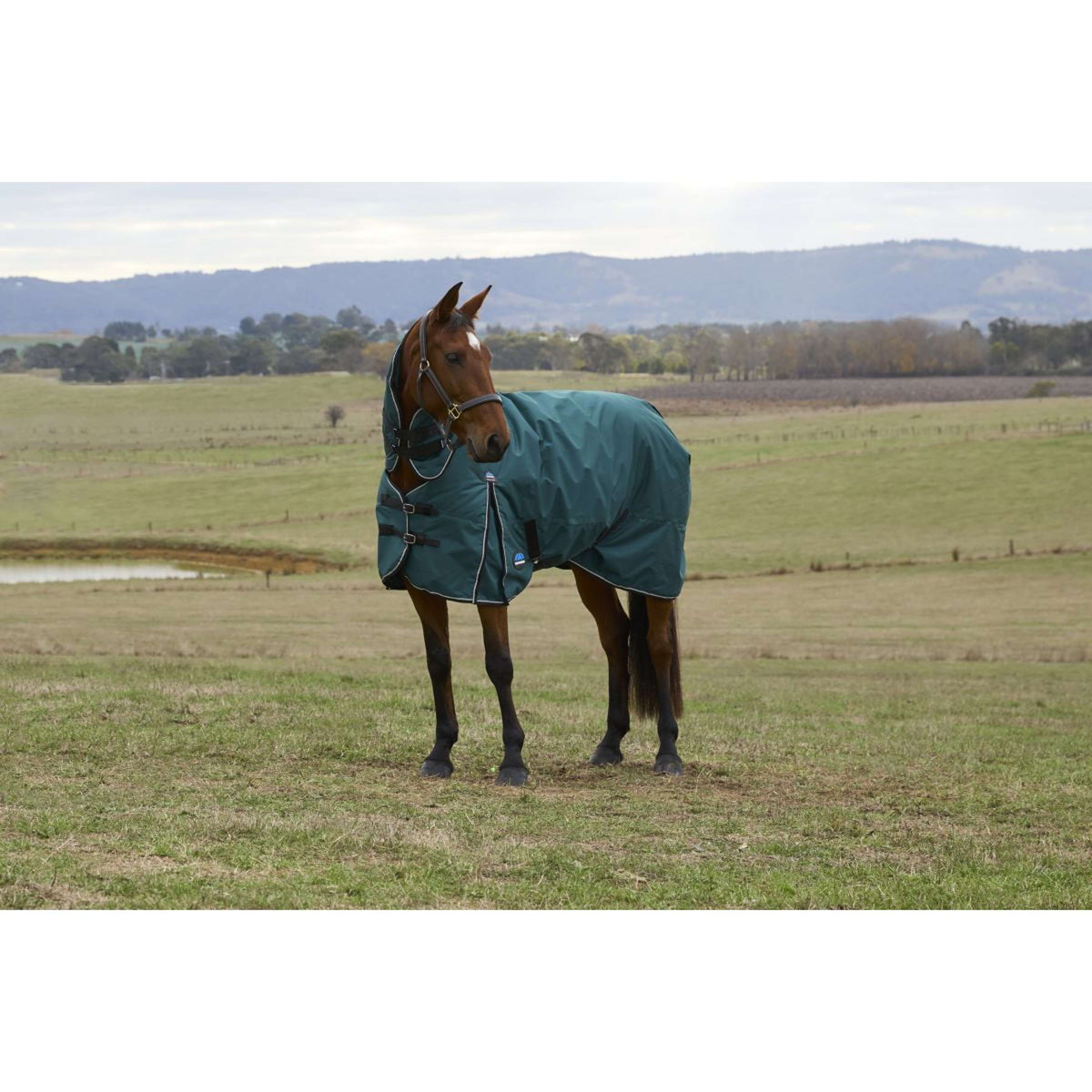 Weatherbeeta Comfitec Classic Turnout Combo 50 g Forest Green/Black
