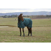Weatherbeeta Comfitec Classic Turnout Combo 50 g Forest Green/Black