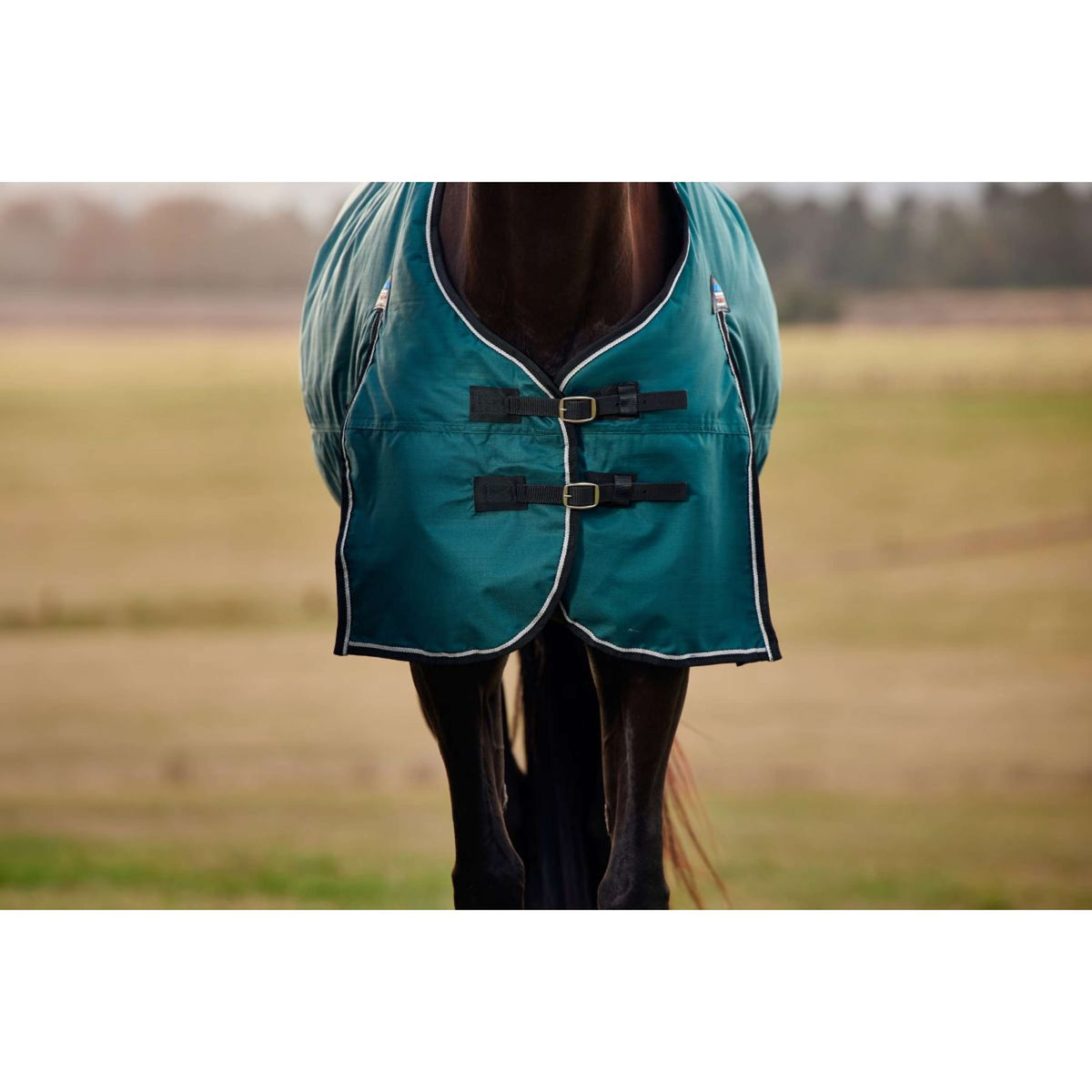 Weatherbeeta Comfitec Classic Turnout 50 g Forest Green/Black