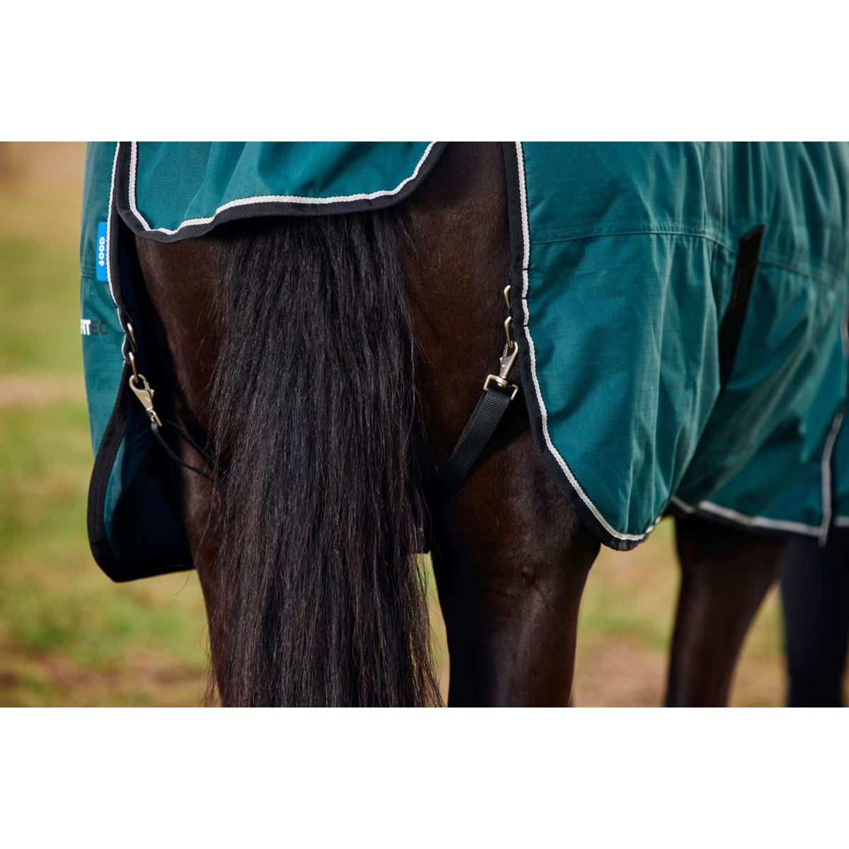 Weatherbeeta Comfitec Classic Turnout 50 g Forest Green/Black