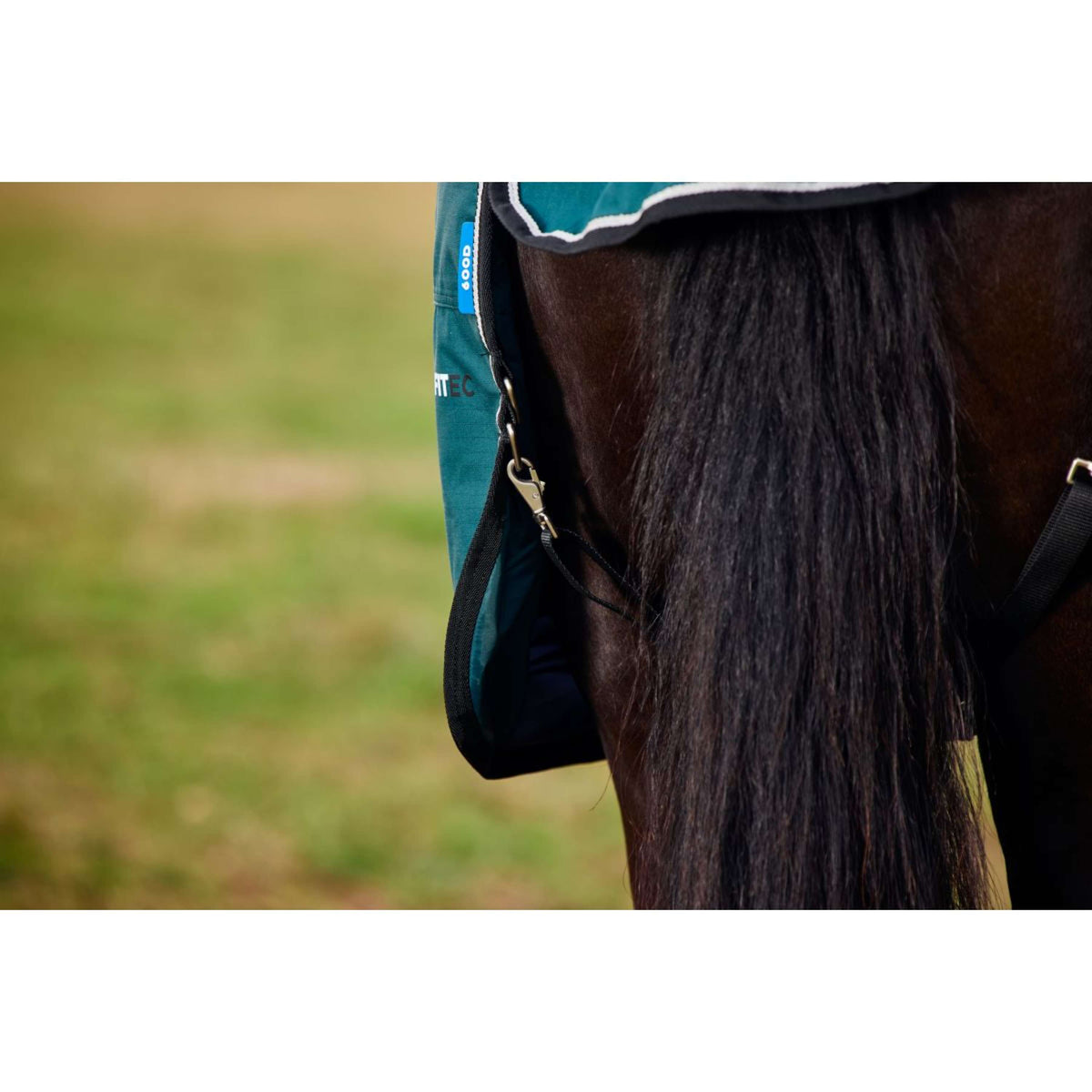 Weatherbeeta Comfitec Classic Turnout 50 g Forest Green/Black