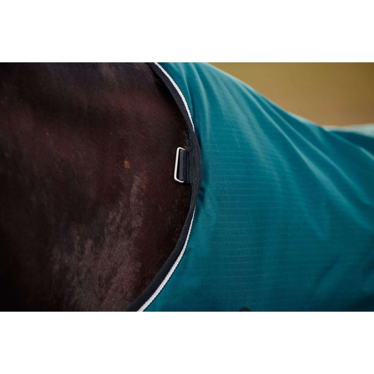 Weatherbeeta Comfitec Classic Turnout 50 g Forest Green/Black