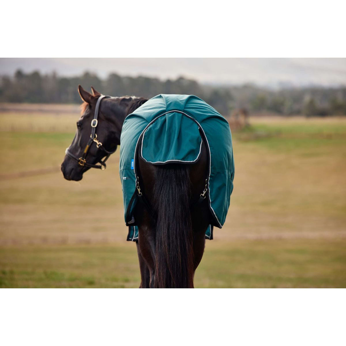 Weatherbeeta Comfitec Classic Turnout 50 g Forest Green/Black