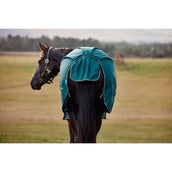 Weatherbeeta Comfitec Classic Turnout 50 g Forest Green/Black