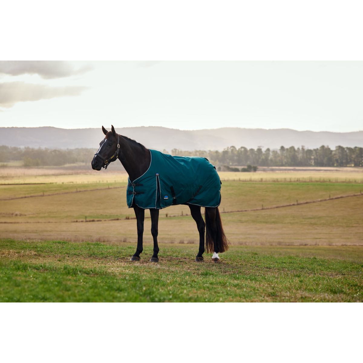 Weatherbeeta Comfitec Classic Turnout 50 g Forest Green/Black