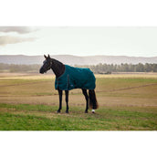 Weatherbeeta Comfitec Classic Turnout 50 g Forest Green/Black