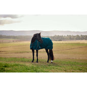 Weatherbeeta Comfitec Classic Turnout 50 g Forest Green/Black