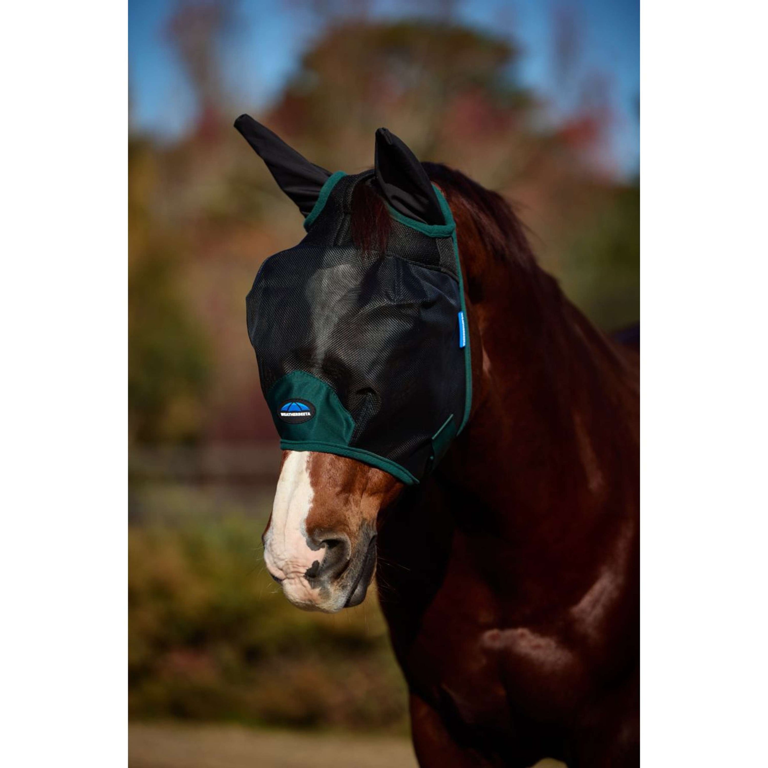 WeatherBeeta Maschera per Mosche ComFiTec Durable con Orecchie Black/Forest Green WeatherBeeta Maschera per Mosche ComFiTec Durable con Orecchie Black/Forest Green