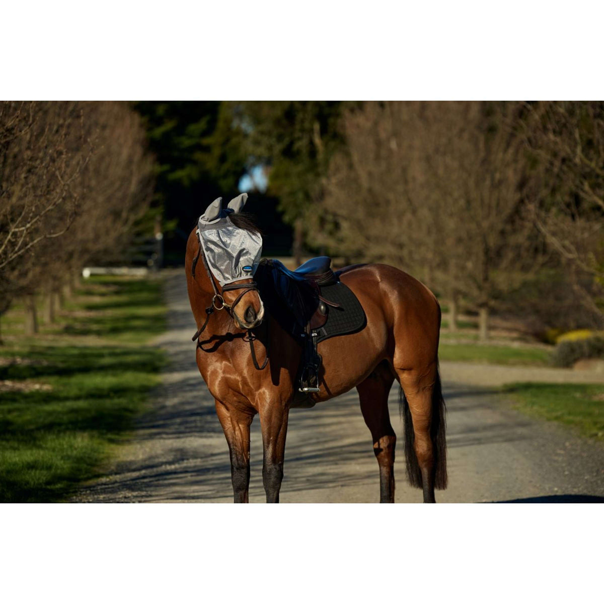 WeatherBeeta Maschera per Mosche ComFiTec Hexi Ride On Fly con Orecchie Argento
