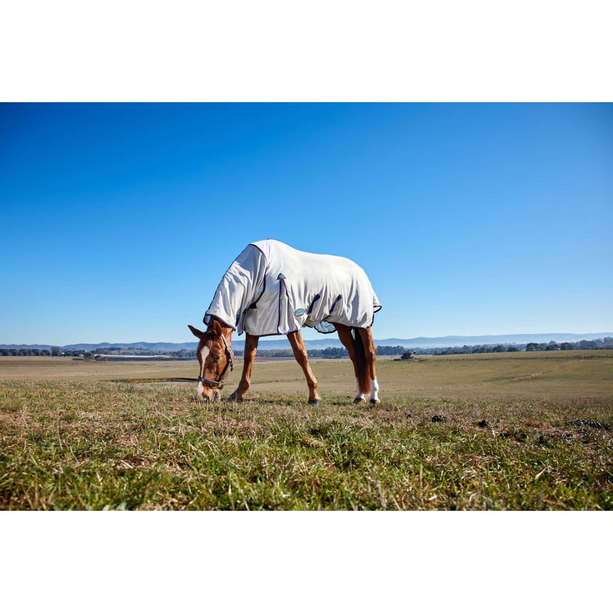 WeatherBeeta Coperta Antimosche ComFiTec Airflow Detach-A-Neck Grey/Navy/Burgundy