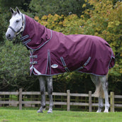 Weatherbeeta Coperta Invernale Comfitec Plus Dynamic II Detach-A-Neck Medium/Lite Marrone/Grigio/Bianco