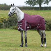Weatherbeeta Coperta Invernale Comfitec Plus Dynamic II Standard Neck Medium/Lite Marrone/Grigio/Bianco