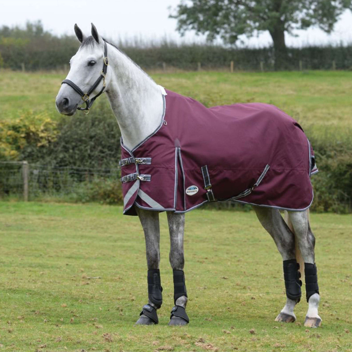 Weatherbeeta Coperta Invernale Comfitec Plus Dynamic II Standard Neck Medium/Lite Marrone/Grigio/Bianco