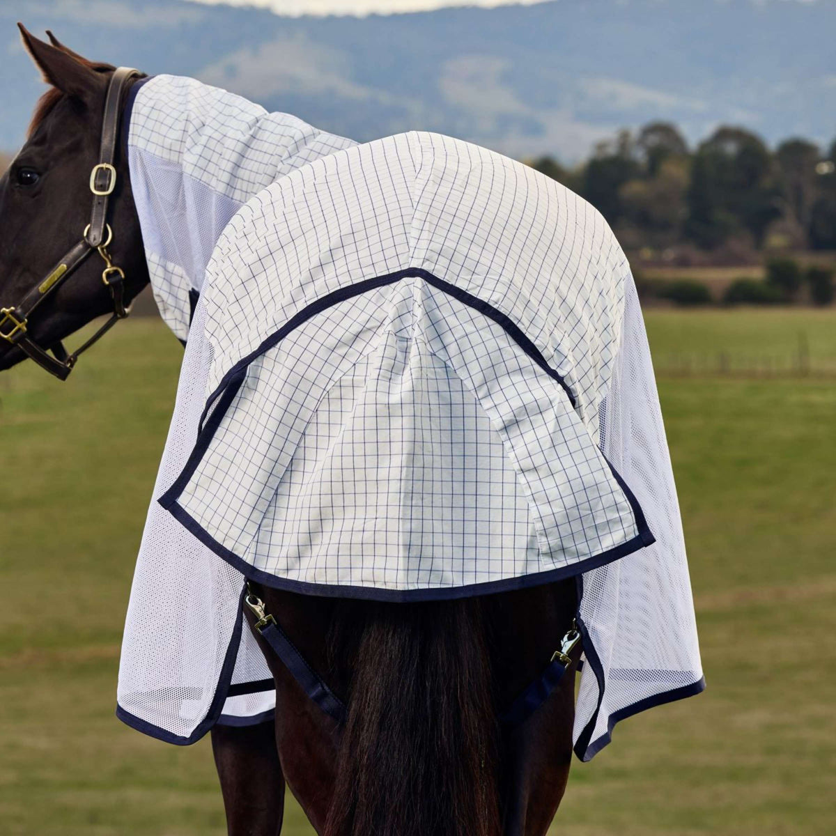 WeatherBeeta Coperta Estiva Airstream Combo Bianco/blu marino