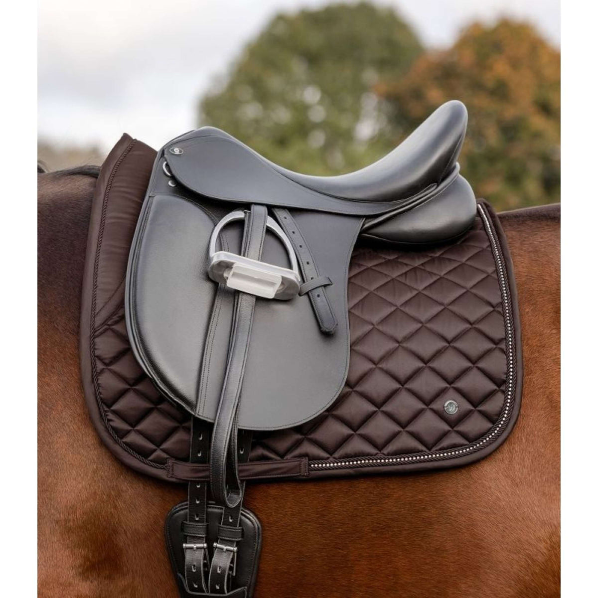 Waldhausen Sottosella Nepal Dressage