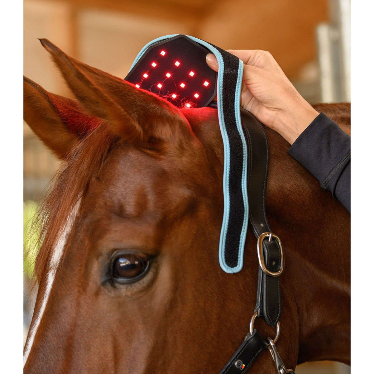 Waldhausen Health + Care FlexPad a infrarossi Nero