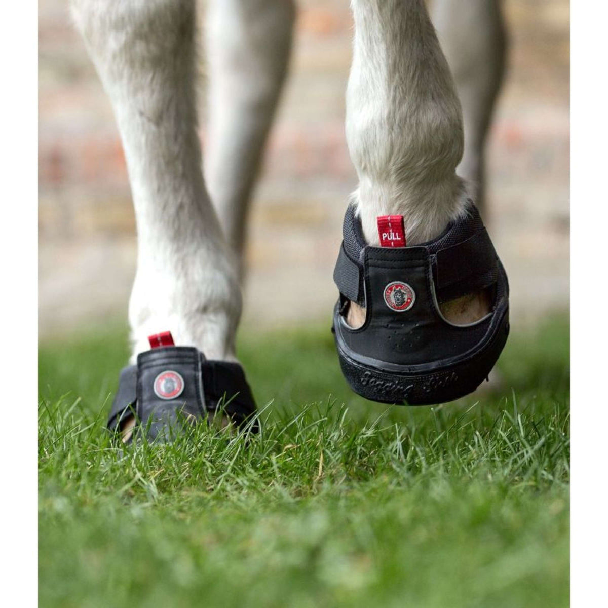 Equine Fusion Ferratura Trekking Slim Nero