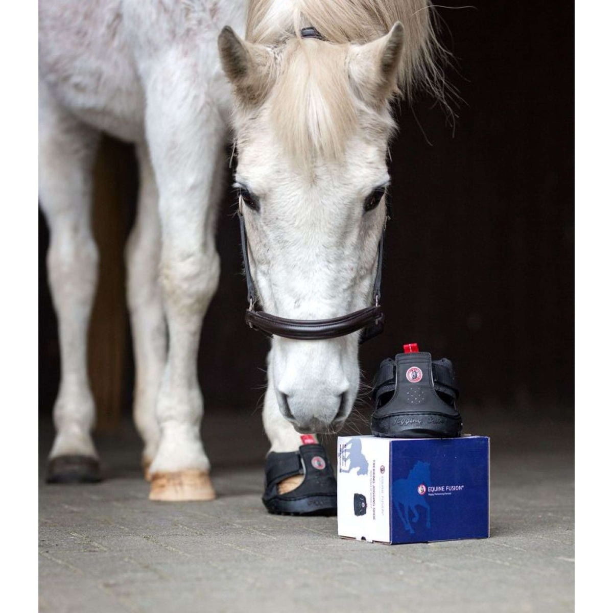 Equine Fusion Ferratura Trekking Slim Nero