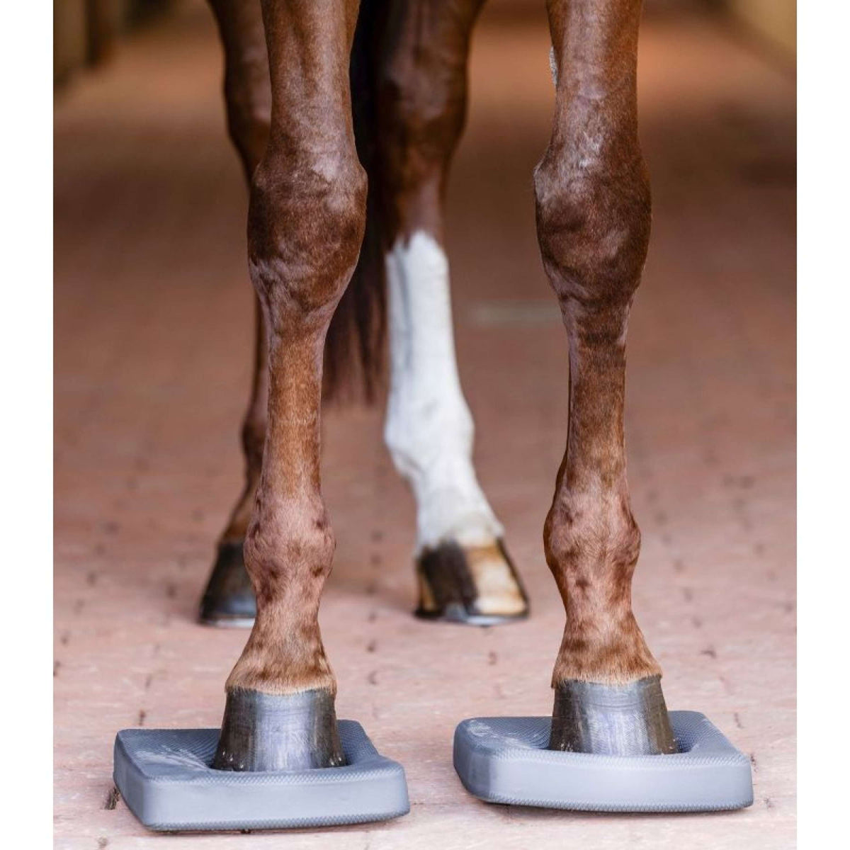 Waldhausen Health + Care Balance Pads