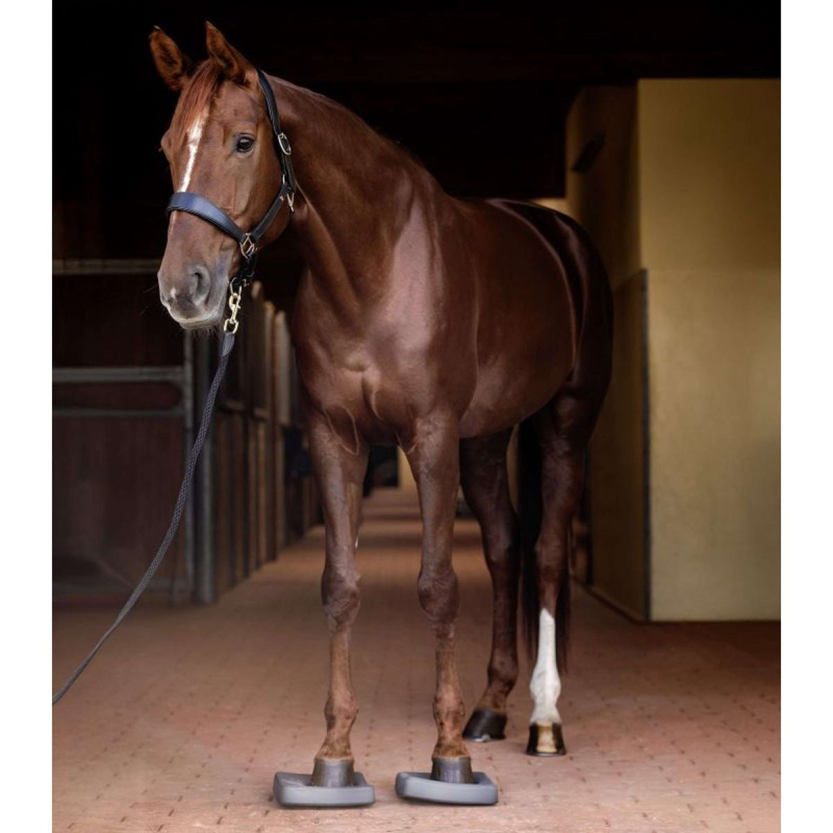 Waldhausen Health + Care Balance Pads