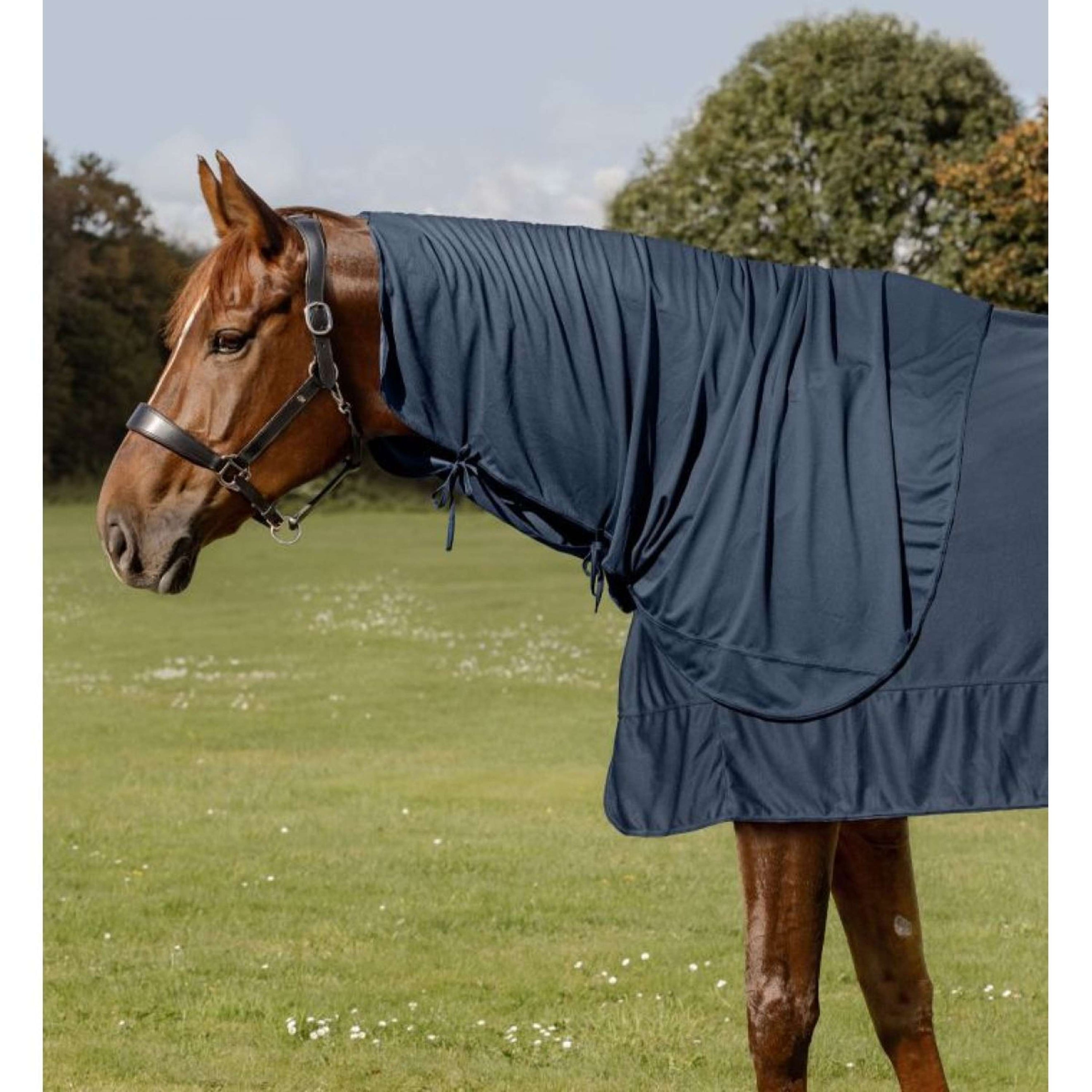 Waldhausen Health + Care Copricollo Ice Layer Blu notte