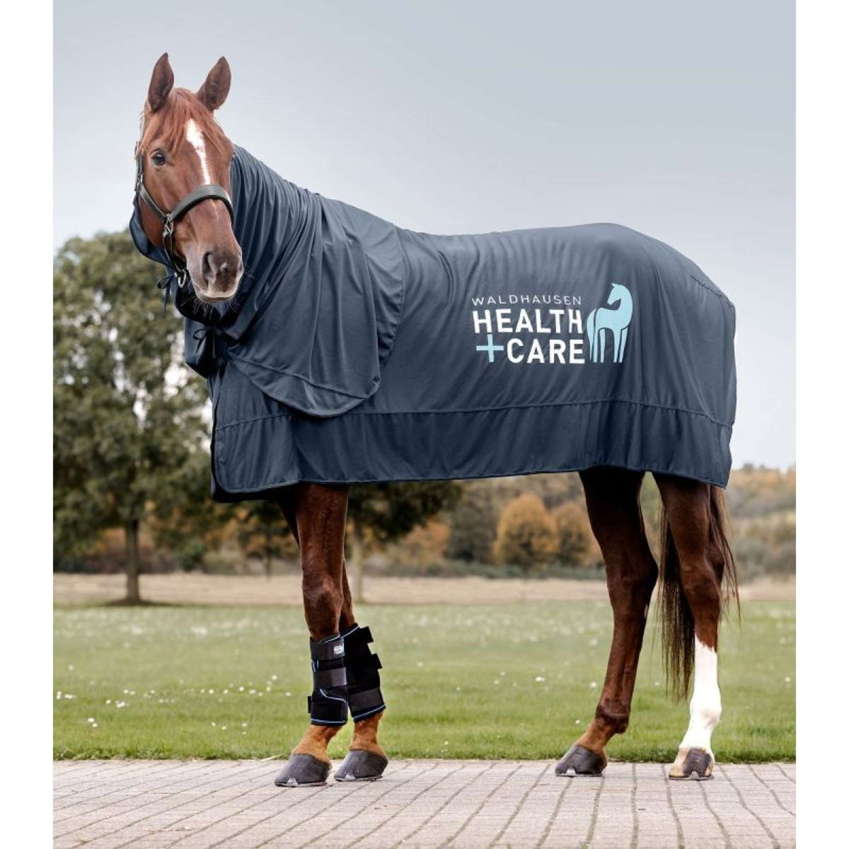 Waldhausen Health + Care Copricollo Ice Layer Blu notte