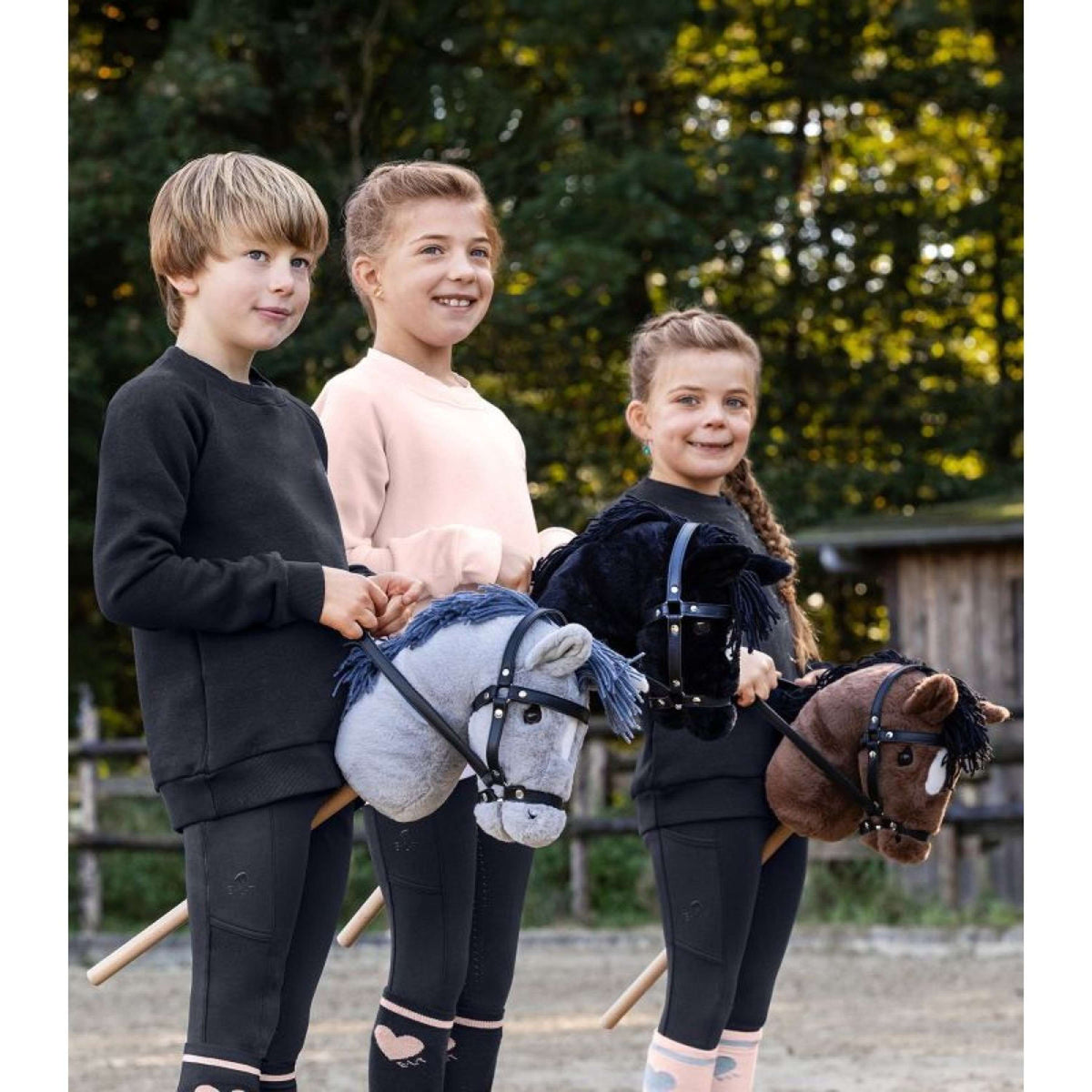 Waldhausen Cavallo da hobby Milky