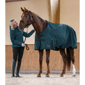 Waldhausen Tappeto da Esterno Arctic Light 0g Petrol Blue
