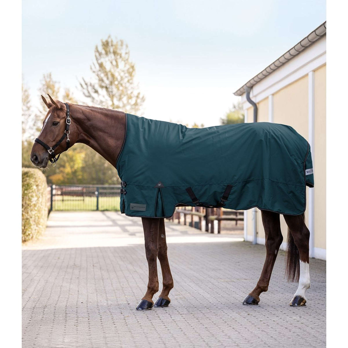 Waldhausen Tappeto da Esterno Arctic High Neck Light 0g Petrol Blue